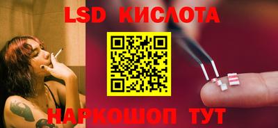 прущие грибы Дмитров