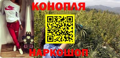 прущие грибы Дмитров