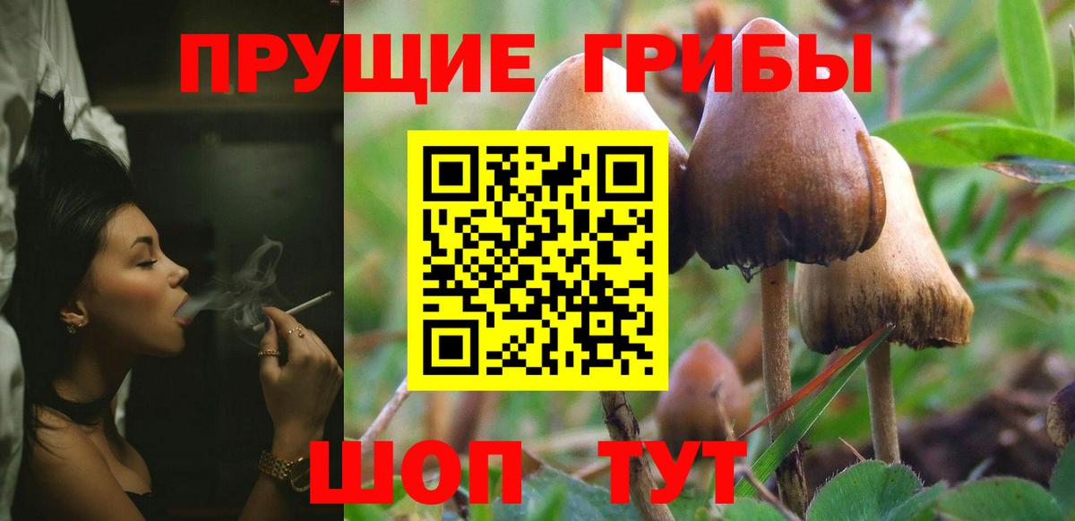 Галлюциногенные грибы Psilocybine cubensis  Вход с VPN  Черкесск  Галлюциногенные грибы Psilocybine cubensis 